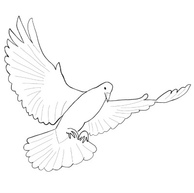 Dove - Peace