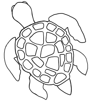 Turtle - Good Health